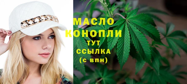 соль ск Ельня