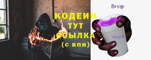 индика Одинцово