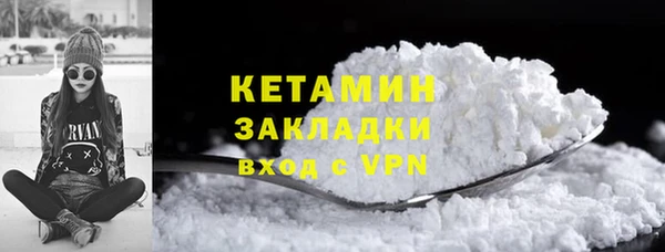 соль ск Ельня