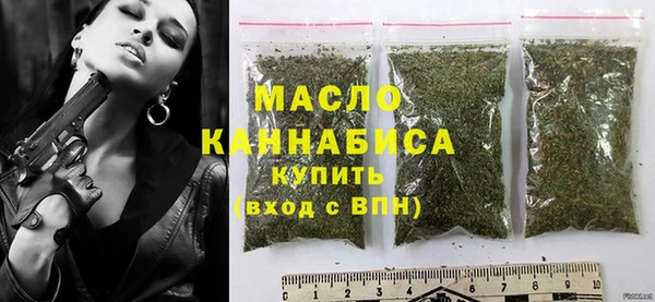 соль ск Ельня