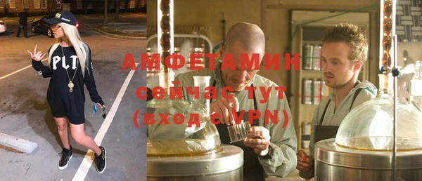 соль ск Ельня