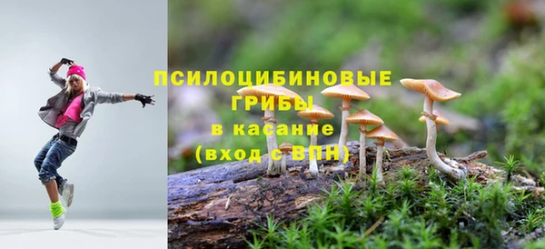 метадон Елизово