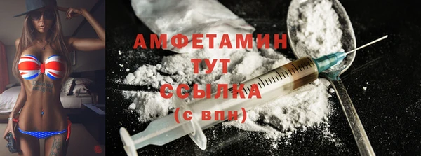 соль ск Ельня
