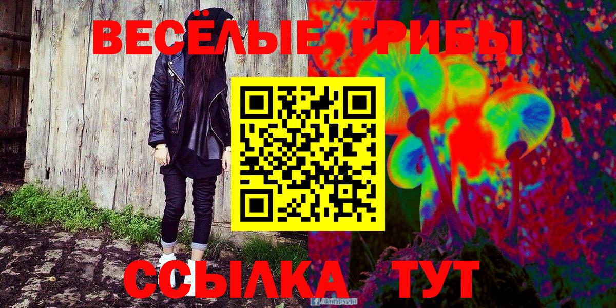 где купить наркоту  Псилоцибиновые грибы Magic Shrooms  Вход с VPN  Можга  Галлюциногенные грибы MAGIC MUSHROOMS 